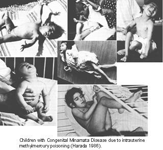 Mercury, Bahaya dan Kegunaan