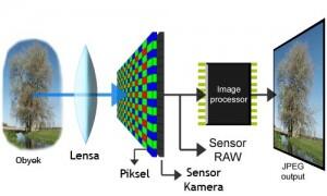 5 Teknologi Kamera DSLR yang Diadopsi oleh Smartphone