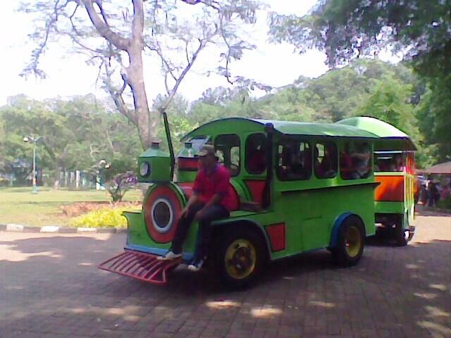 Kebun Binatang Ragunan