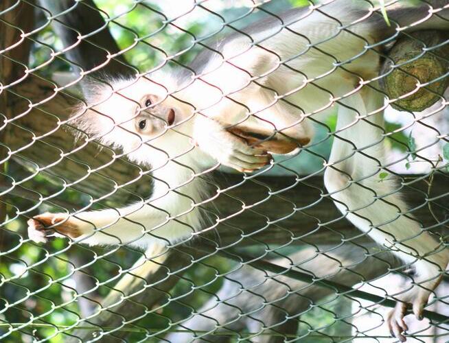 Kebun Binatang Ragunan
