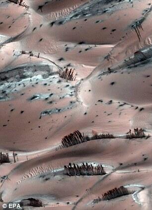 &#91;PICT&#93;Permukaan Mars Yang Menakjubkan