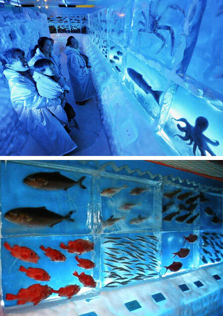 12 AQUARIUM PALING UNIK DIDUNIA