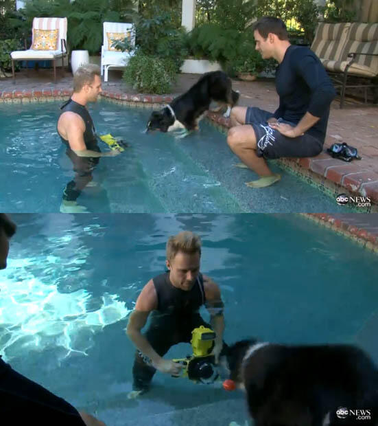 Foto UNDERWATER DOG-- Muka Unik Anjing dalam Air