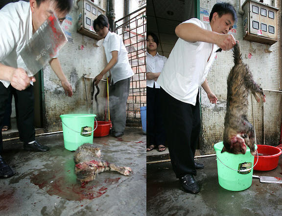 Makan ini gan, ente bakal jadi dewa sakti perkasa macam Sun Bokong!!!