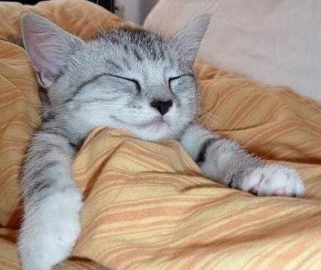 tidur tanpa bantal +pic