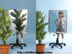 Fakta dan cara kerja cermin