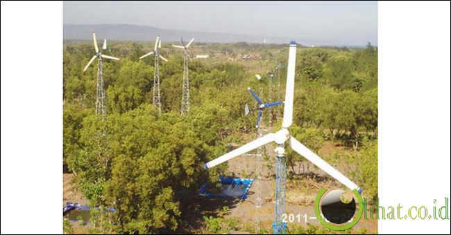 10 Fakta Menakjubkan dari Energi Angin