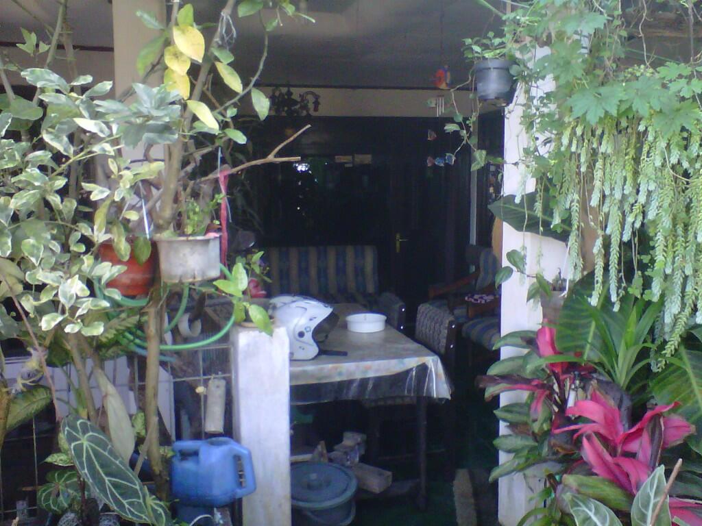 Dijual Rumah dan Kost-kostan.