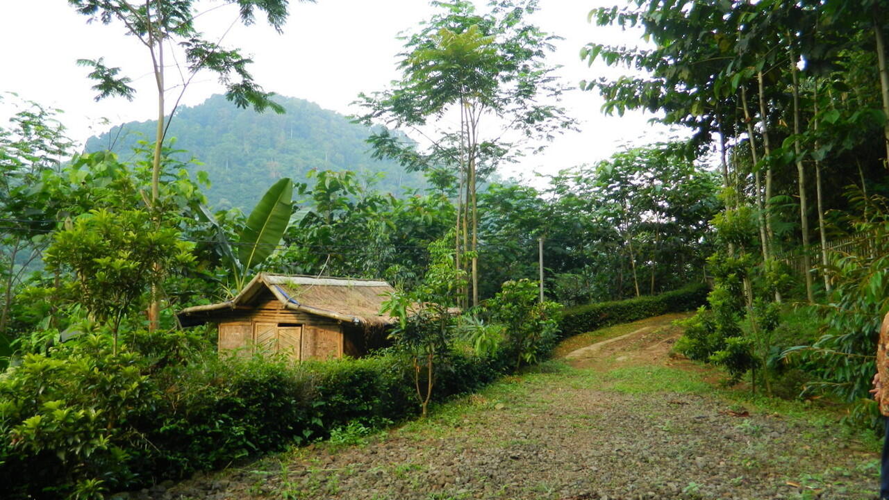 Cari Jual Tanah Murah View Bagus (Cianjur)  KASKUS