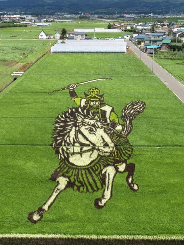 Gambar Karakter Anime Populer di Atas Sawah