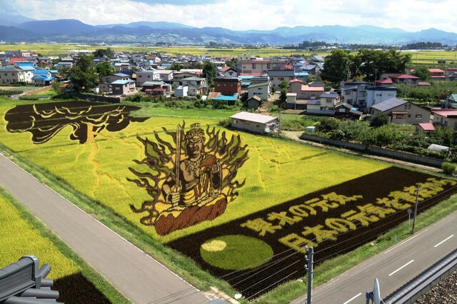 Gambar Karakter Anime Populer di Atas Sawah