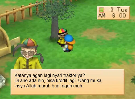 Mengungkap Misteri Harvest Moon Back To Nature