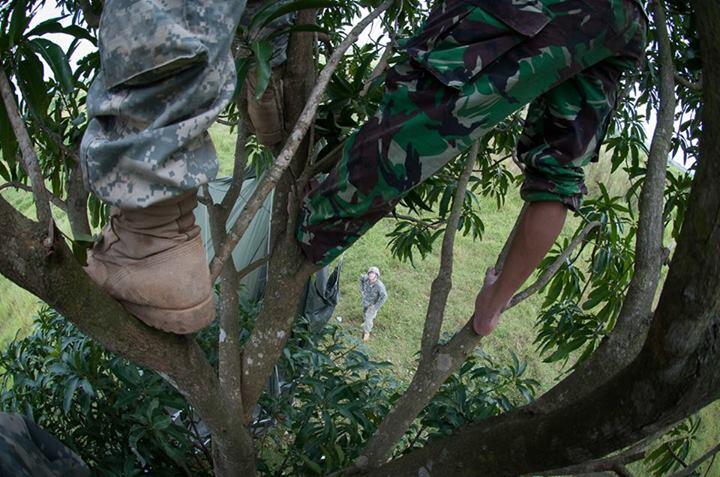 tentara amrik &quot;Nyolong&quot; mangga di indonesia (with pic)