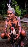 Mengenal lebih jauh asal usul suku dayak, org kalimantan masuk, non jg blh.