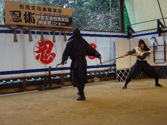 Mau Tahu Rasanya Jadi Ninja? Datangi Museum Ini