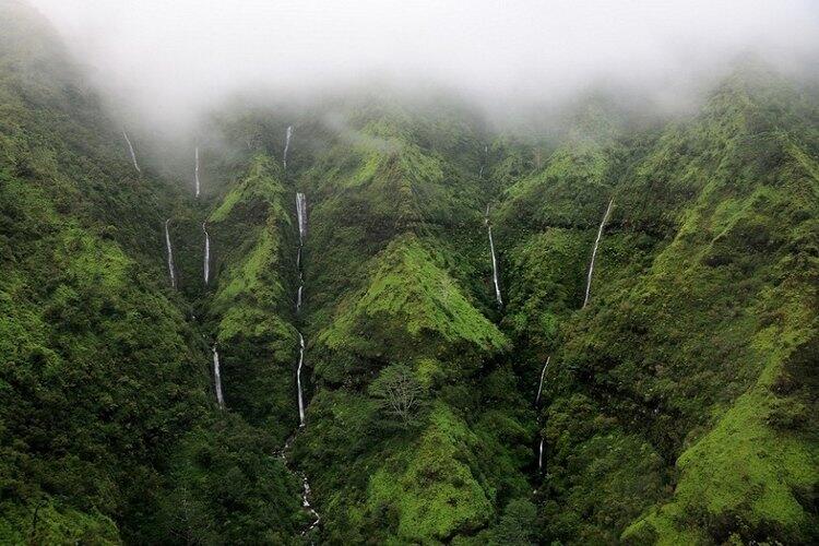 Tebing yang Bisa Menangis di Hawaii