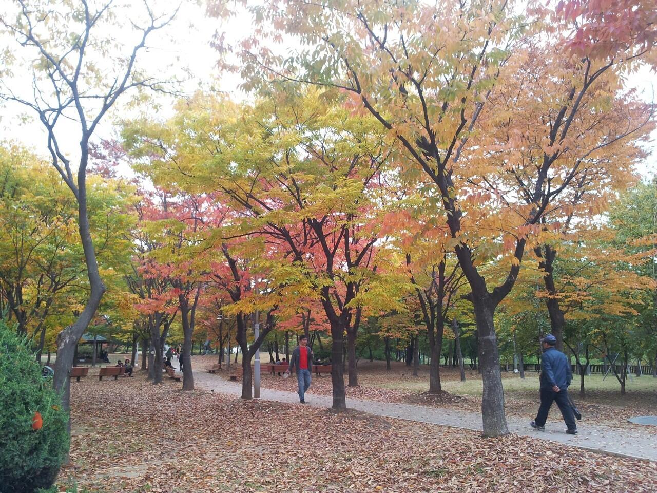 Jalan-jalan gan ke kyungwon unversity, kuliah dan wisata (+pic)