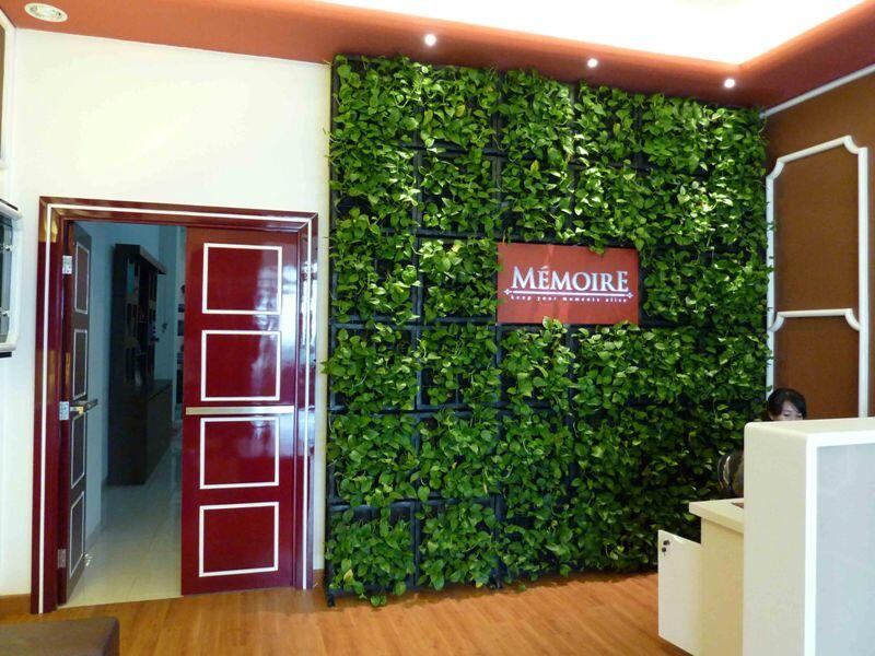 Terjual Green wall Vertical Garden Hiasan  dinding  