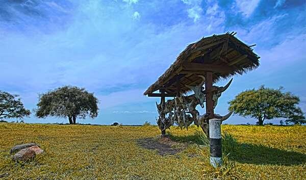 Taman Nasional Baluran, Rasa Afrika di Pulau Jawa