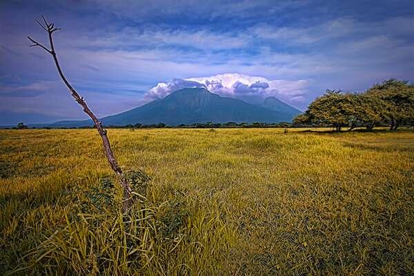 Taman Nasional Baluran, Rasa Afrika di Pulau Jawa