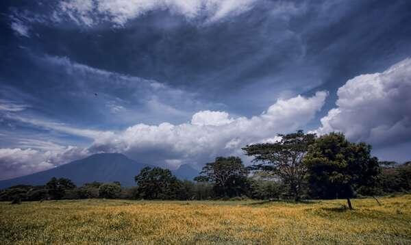 Taman Nasional Baluran, Rasa Afrika di Pulau Jawa