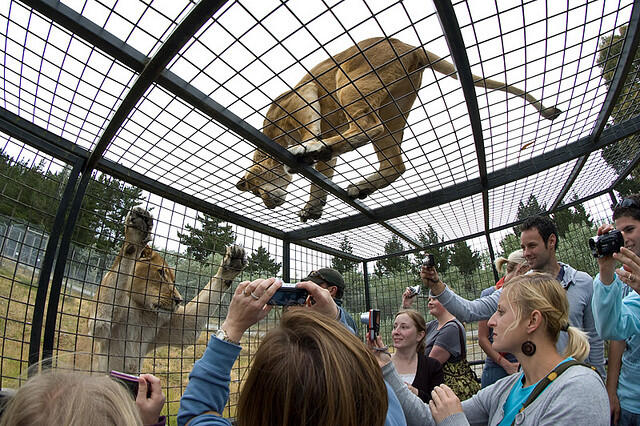 Orana Wildlife Park ( New Zealand )