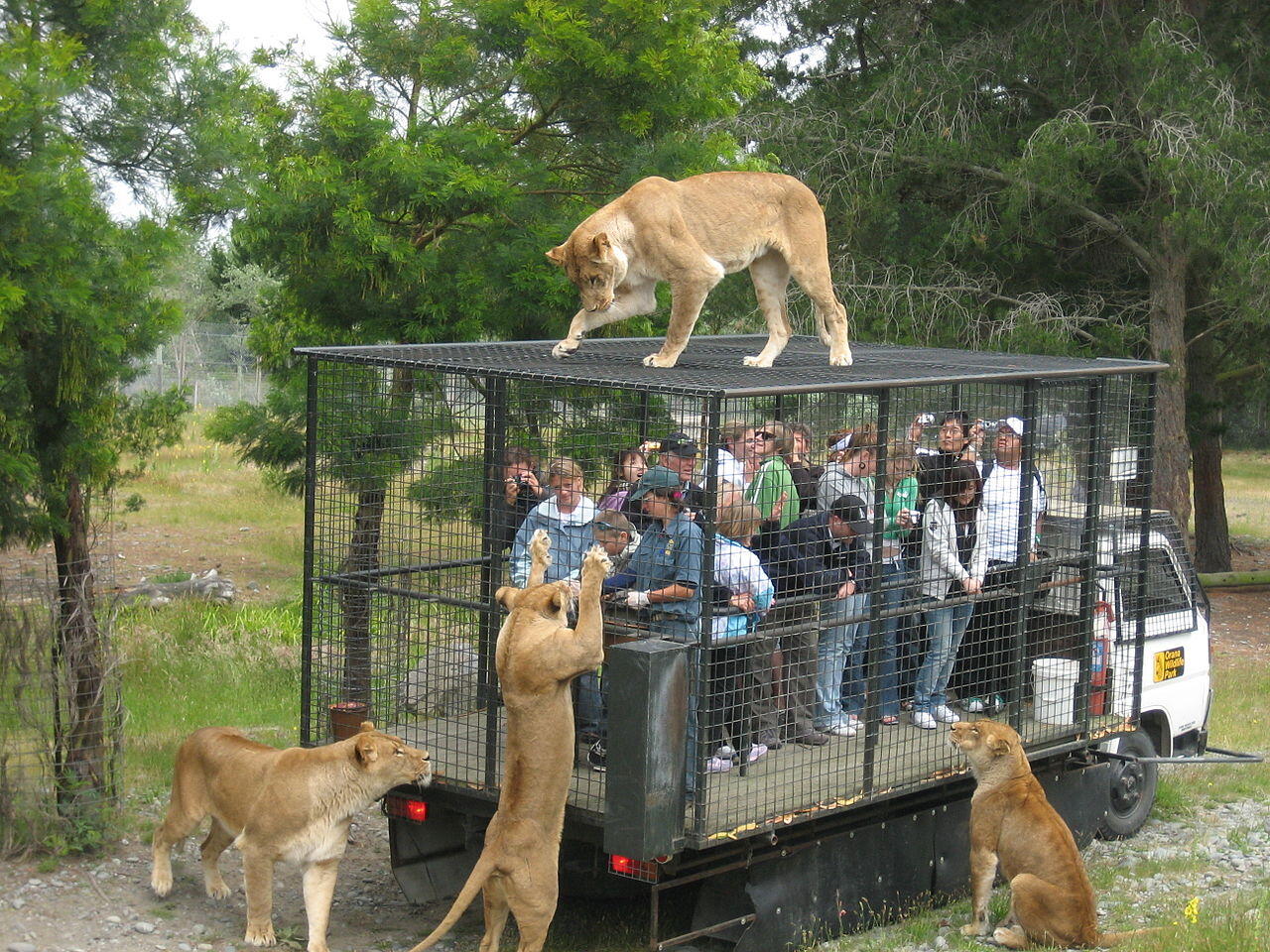 Orana Wildlife Park ( New Zealand )