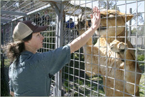 Orana Wildlife Park ( New Zealand )