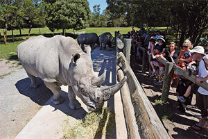 Orana Wildlife Park ( New Zealand )