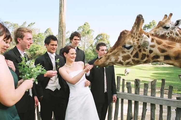 Orana Wildlife Park ( New Zealand )