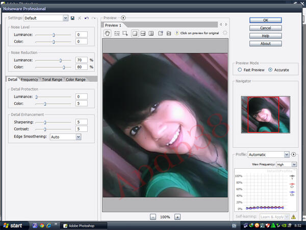 Share Noiseware buat aplikasi Photoshop gan 