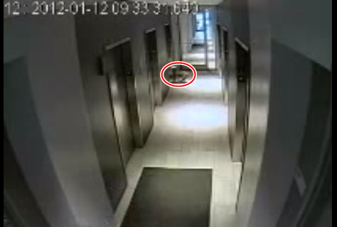 Kejadian Memilukan Yang Terekam Kamera CCTV