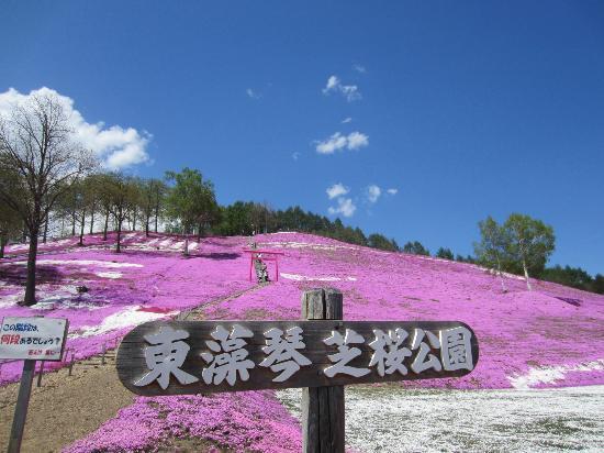 Indahnya Bukit Pink di Hokkaido.