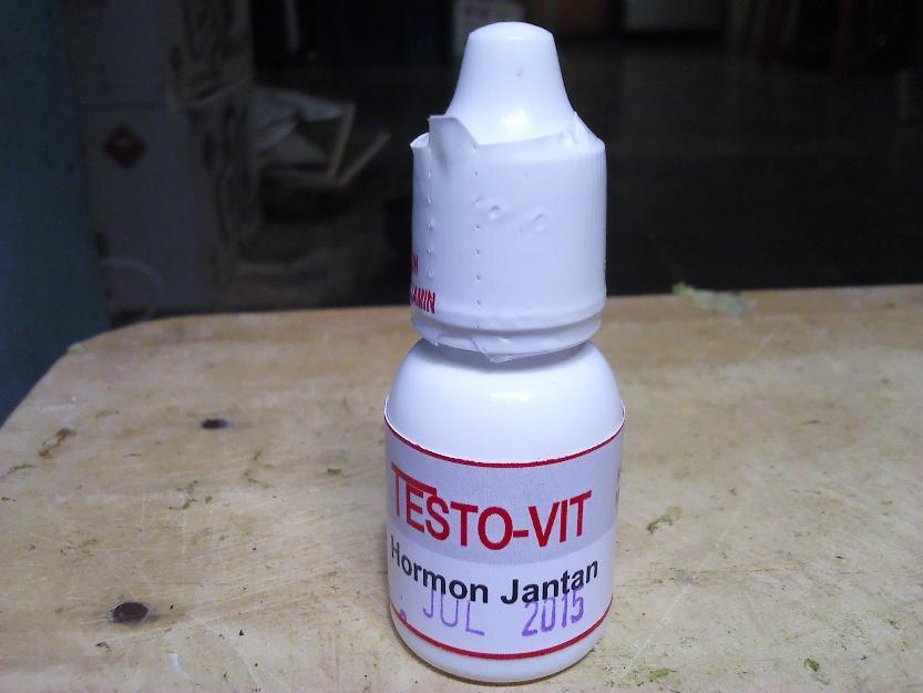 Hormon kenari (Testo-vit Estro-vit)