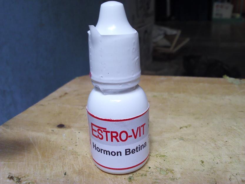 Hormon kenari (Testo-vit Estro-vit)