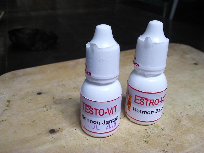 Hormon kenari (Testo-vit Estro-vit)