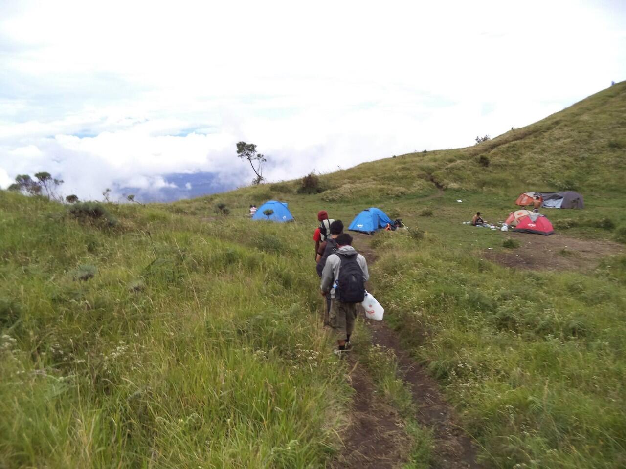 INDAHNYO GUNUNG MERBABU 3145 mdpl