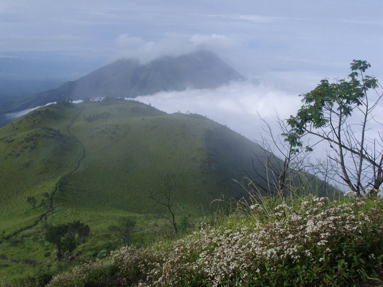 INDAHNYO GUNUNG MERBABU 3145 mdpl