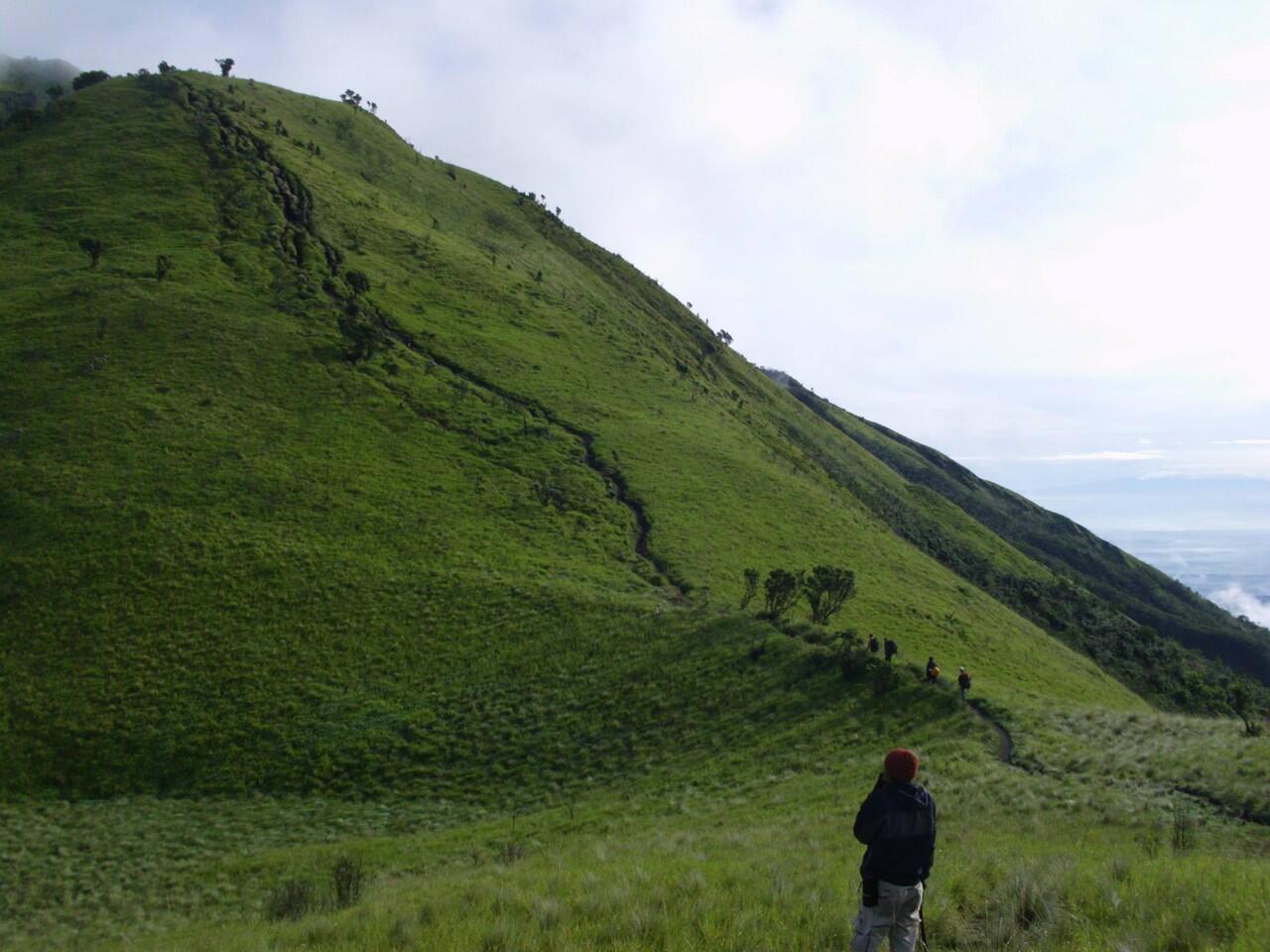 INDAHNYO GUNUNG MERBABU 3145 mdpl