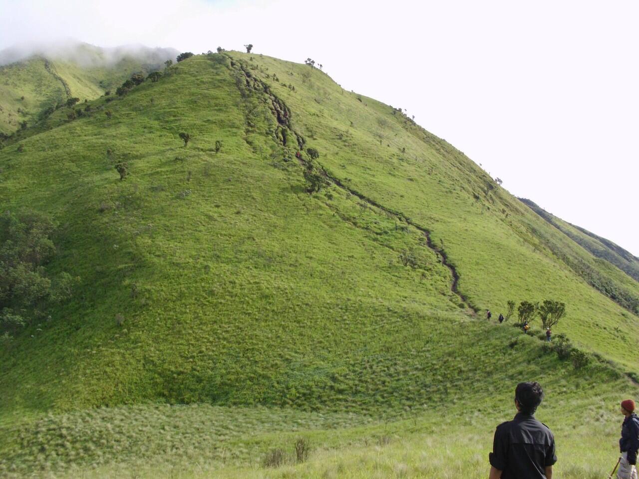 INDAHNYO GUNUNG MERBABU 3145 mdpl