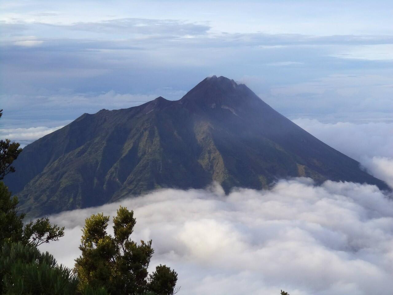 INDAHNYO GUNUNG MERBABU 3145 mdpl