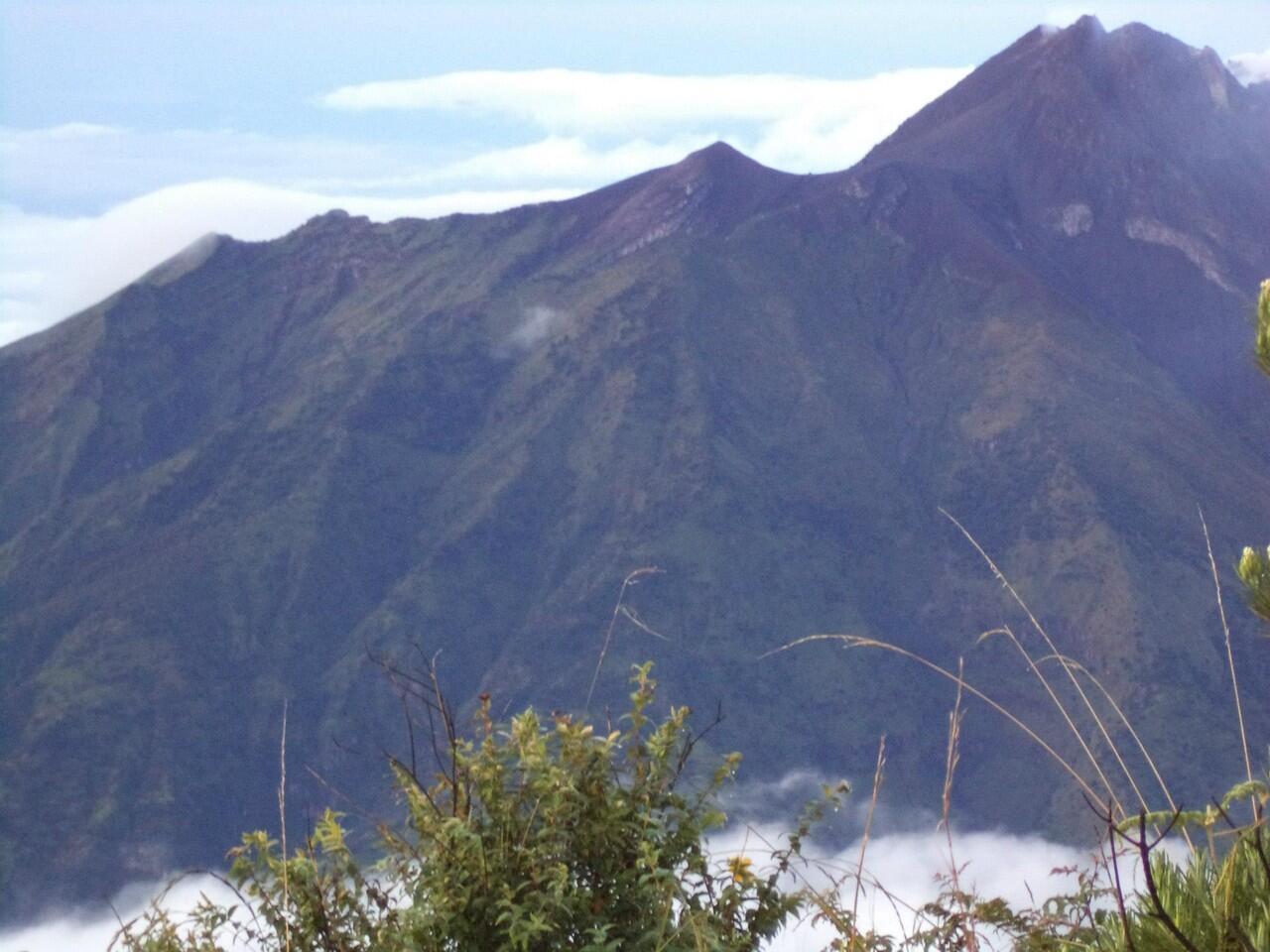 INDAHNYO GUNUNG MERBABU 3145 mdpl