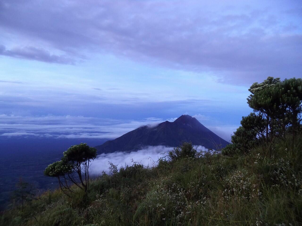 INDAHNYO GUNUNG MERBABU 3145 mdpl