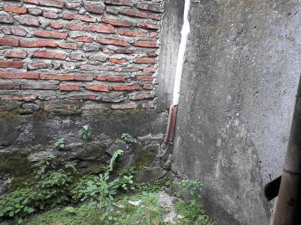 di kontrakan atau sewa rumah mungil sangat strategis