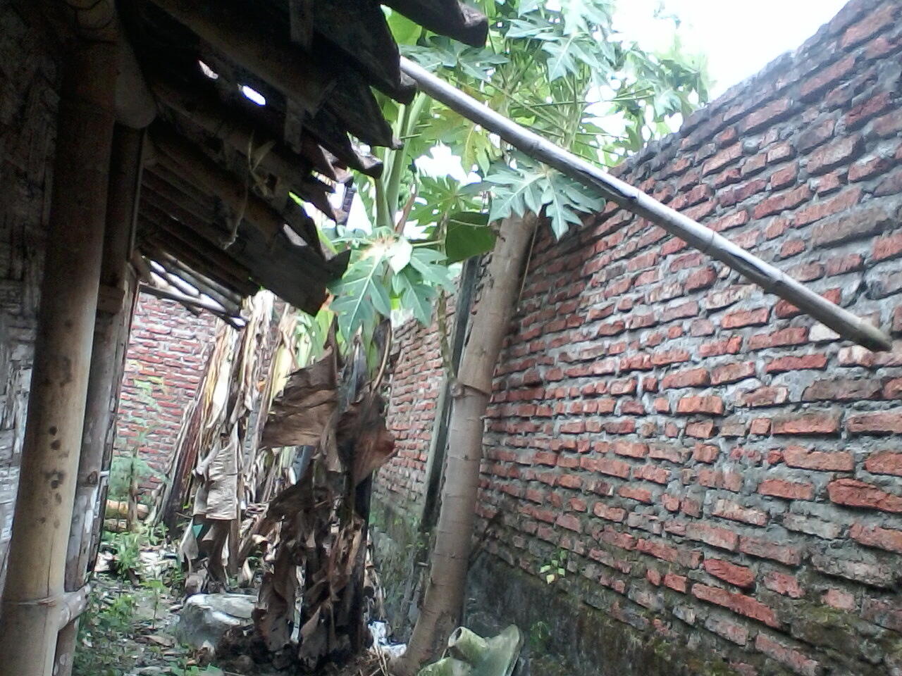 di kontrakan atau sewa rumah mungil sangat strategis