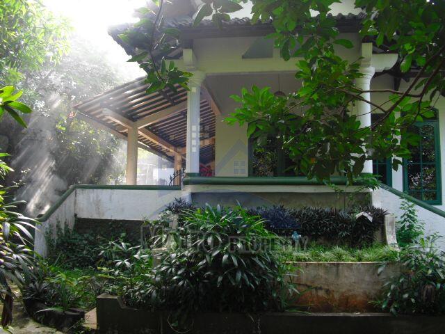Rumah Mewah Halaman Luas Rindang Asri di Manyaran