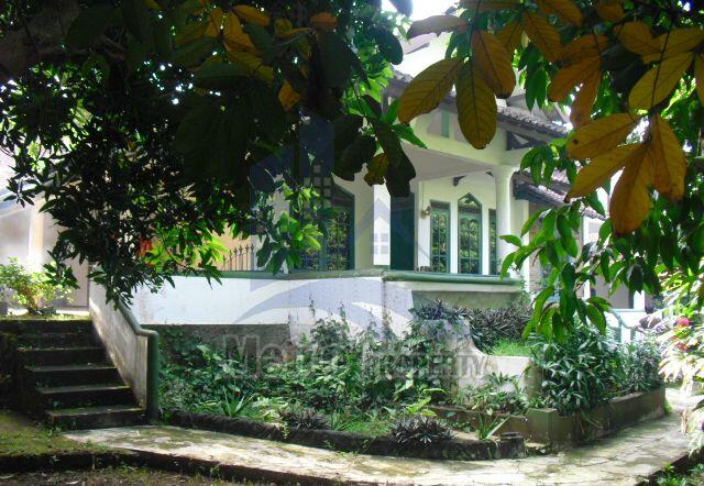 Rumah Mewah Halaman Luas Rindang Asri di Manyaran