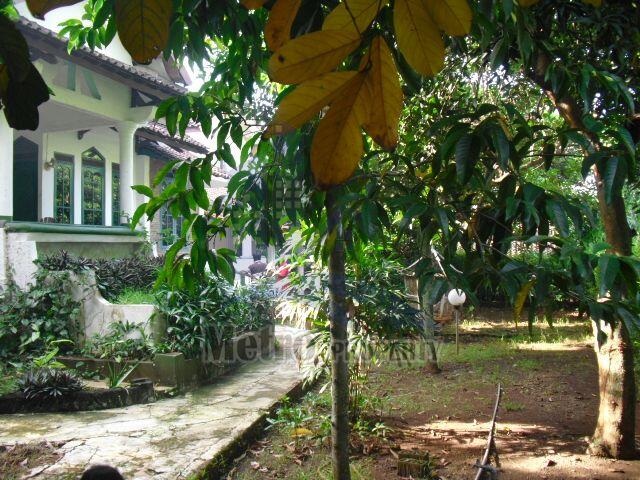 Rumah Mewah Halaman Luas Rindang Asri di Manyaran