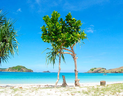 ini fotoku. mana fotomu ??