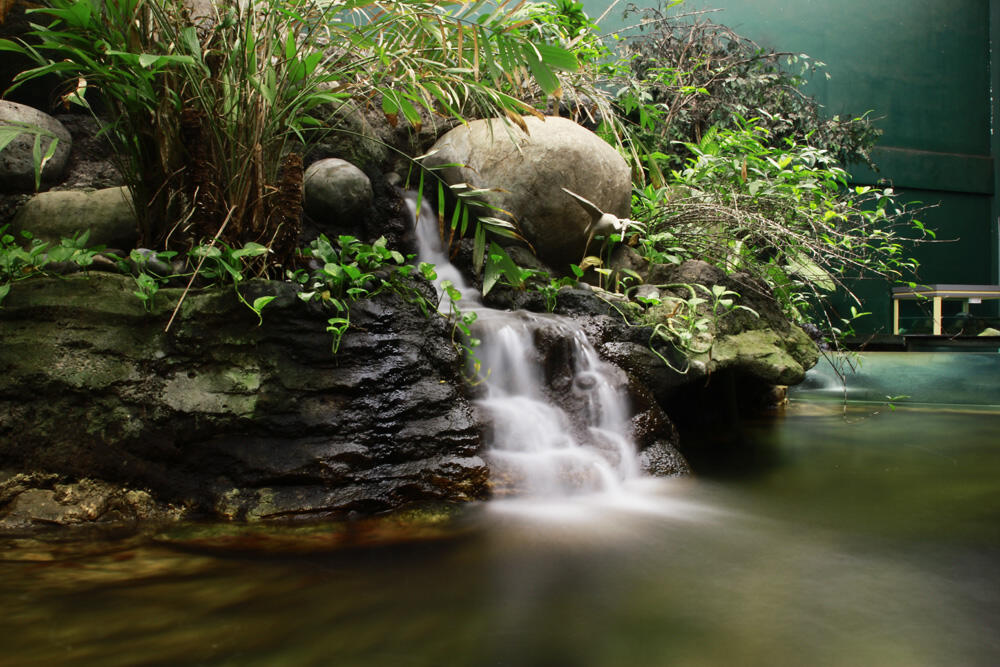 Taman Akuarium Air Tawar Indonesia